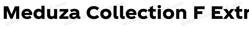 Meduza Collection F Extra Bold 斜体文本字体转换